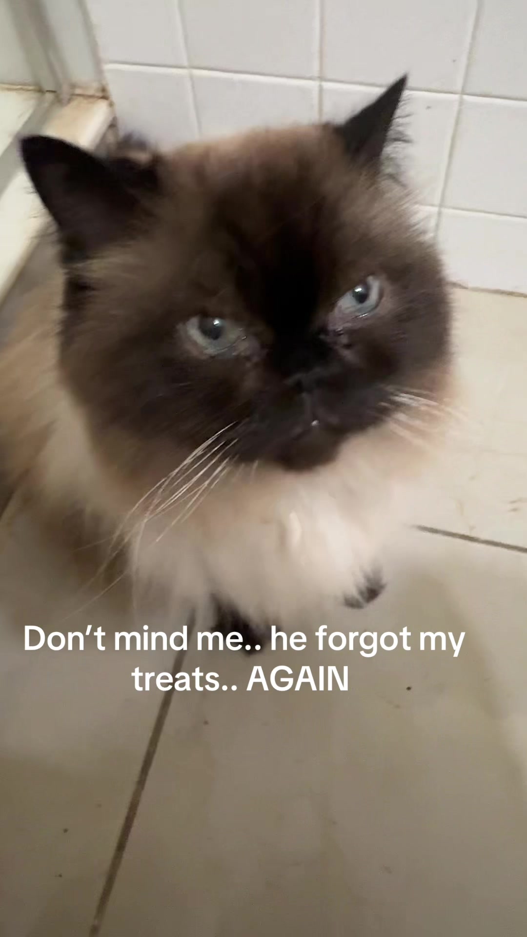 @Drew crazy cat guy