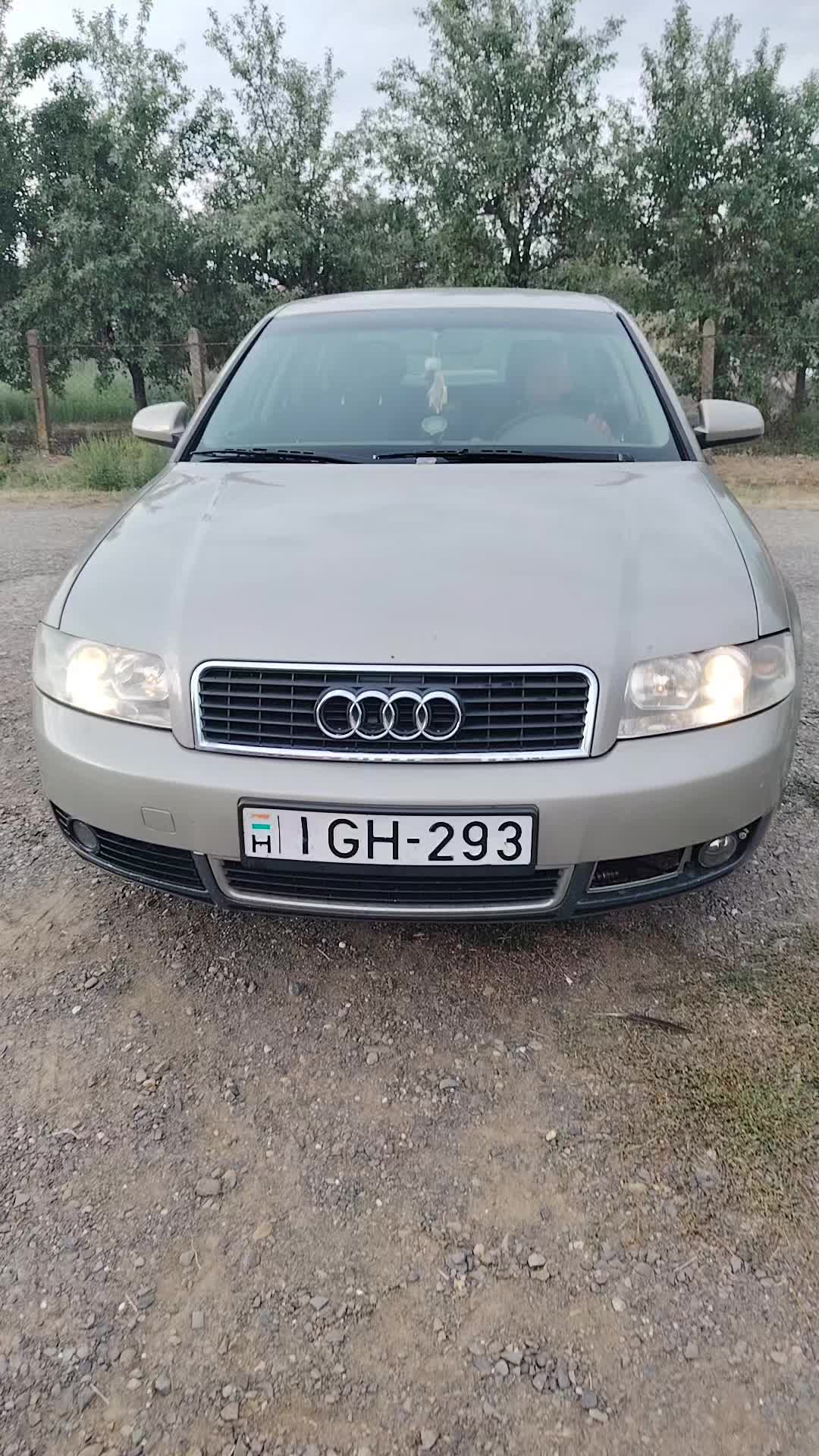 @Váradi Dávidné (Ditta)