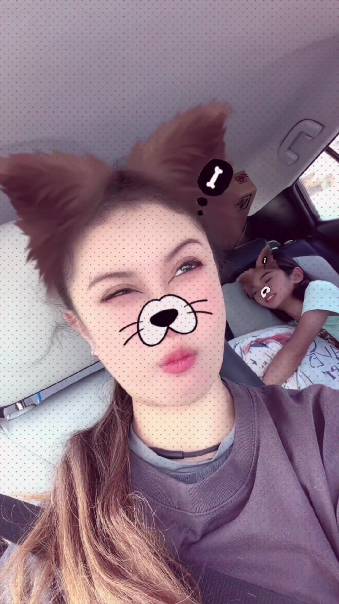 @🐩Momofpets🐾🐇🐢