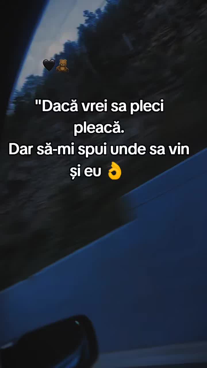 @ionut-pik-E39