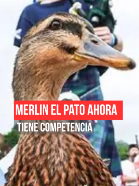 @As&iacute; Sucede Le&oacute;n Noticias