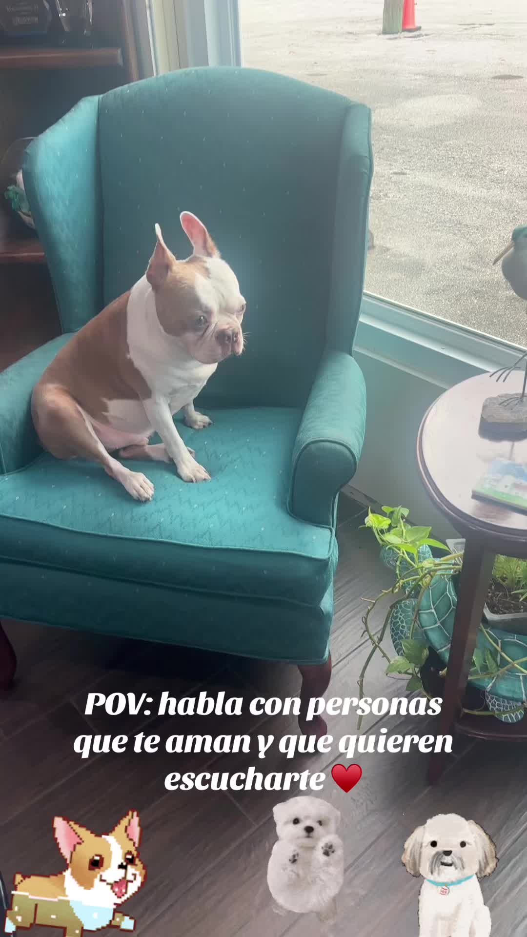 @los3huevertos