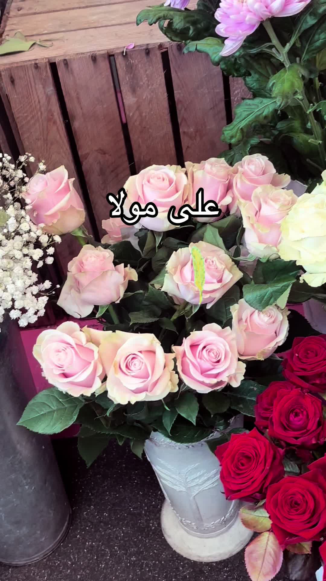 @🌹G U L A B O🌹