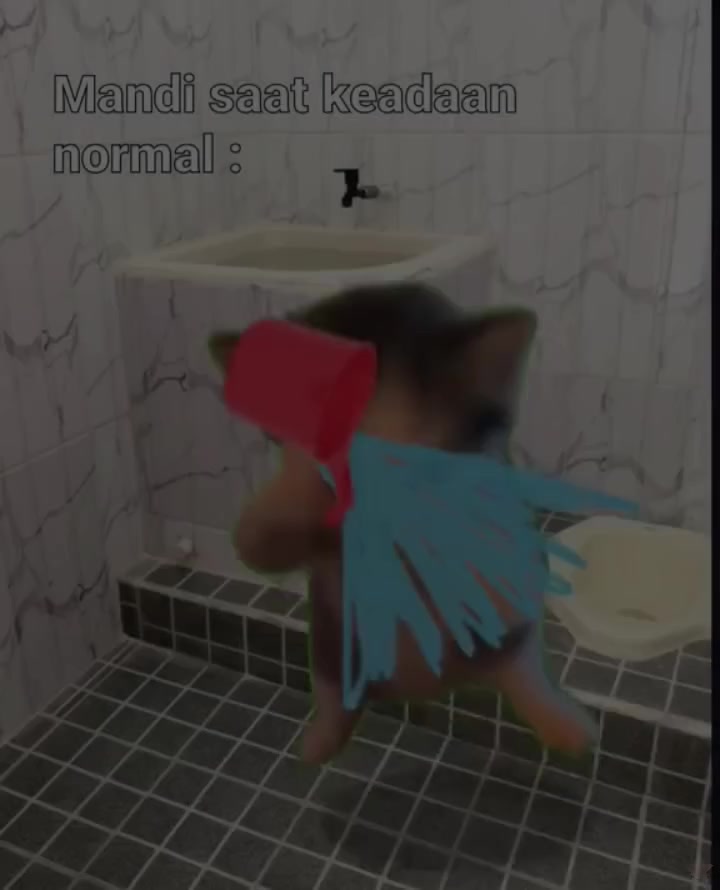 @vianta sd negeri kumpulrejo๐