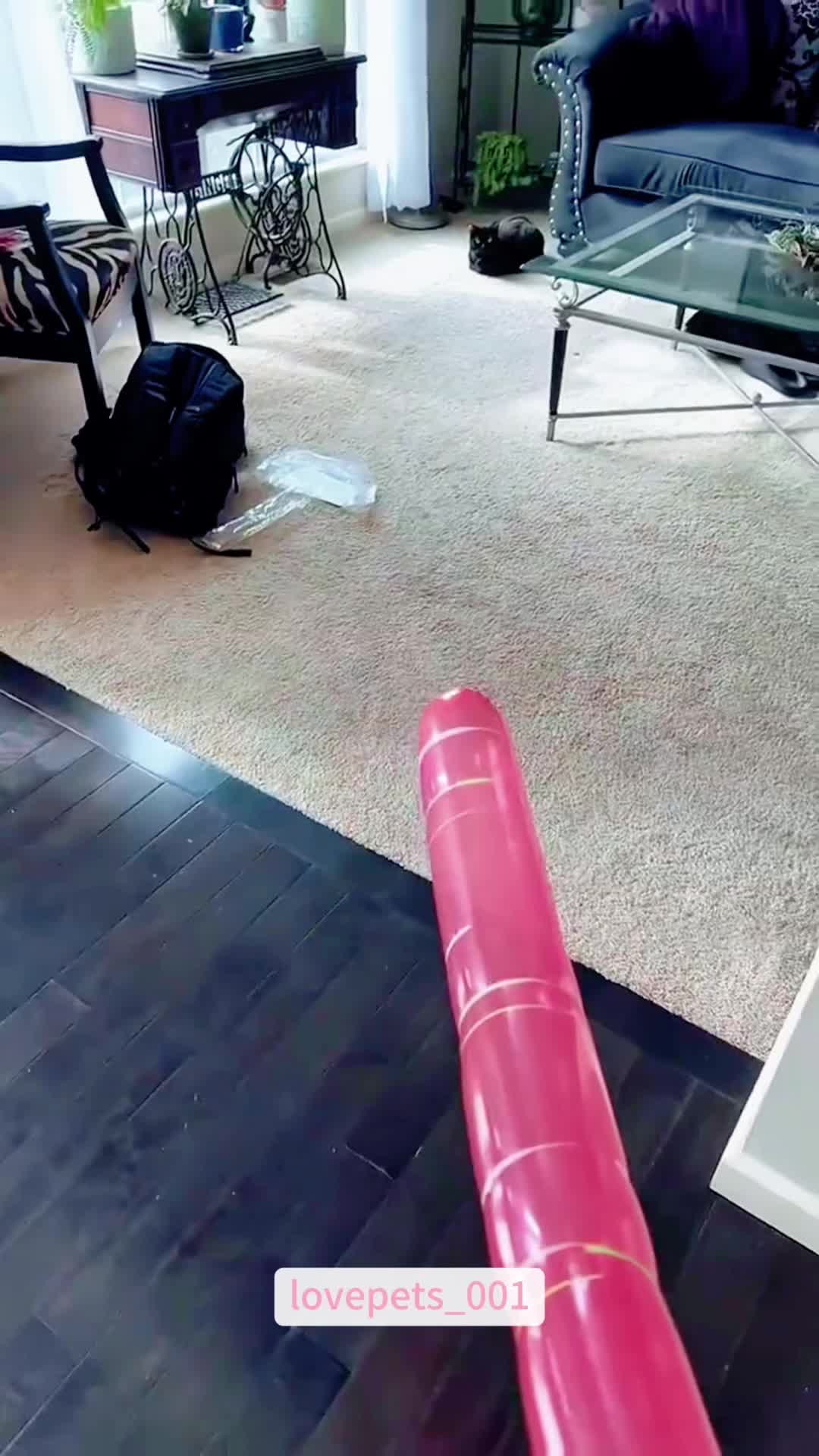 @lovepets_001