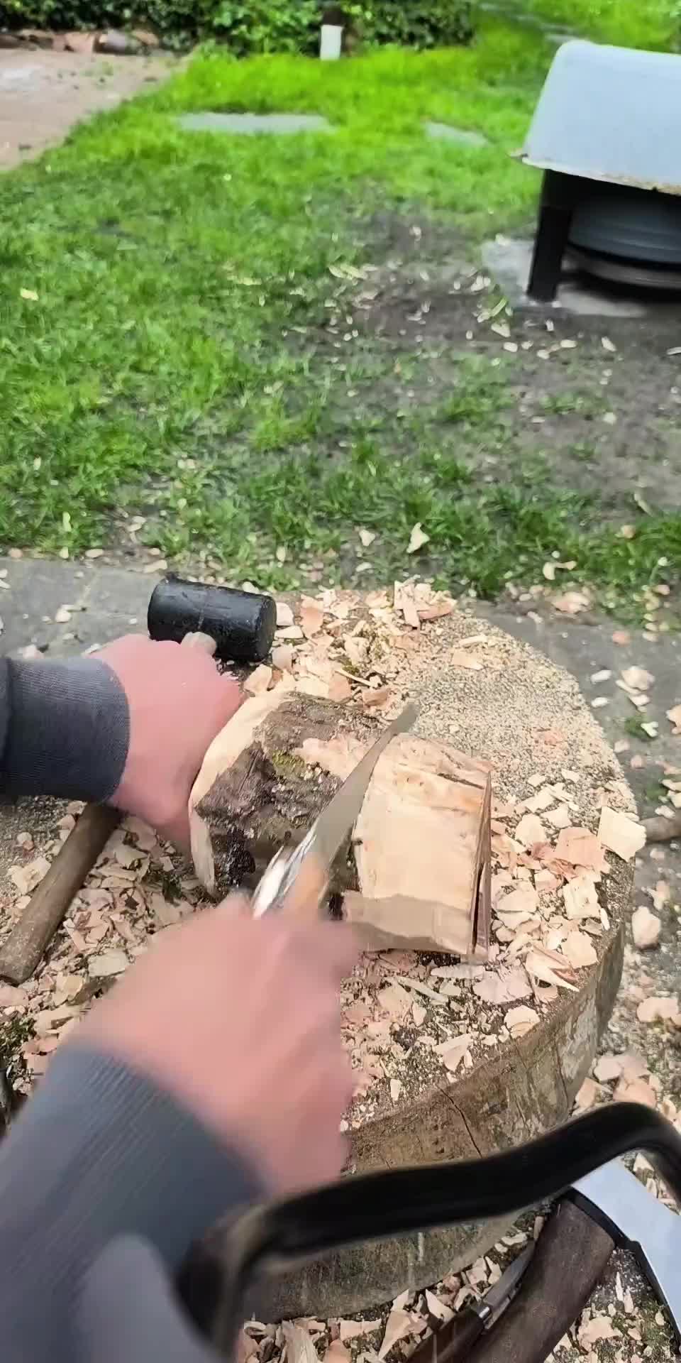 @DieSelbstvOrsorger