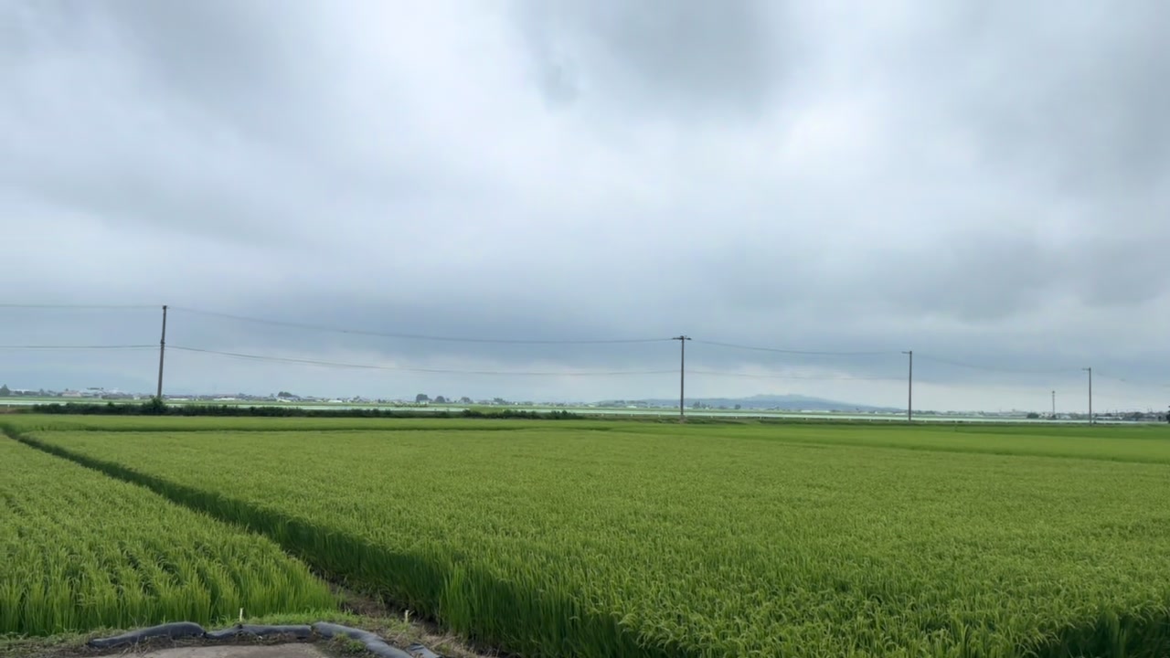 @角砂糖