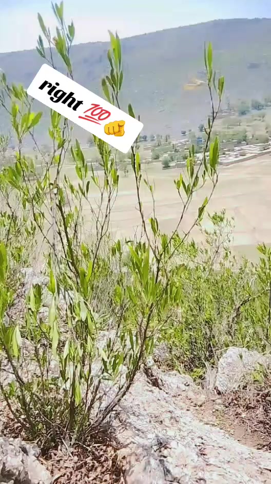 @⚔️ ساہیوال کا شہزادہ ⚔️