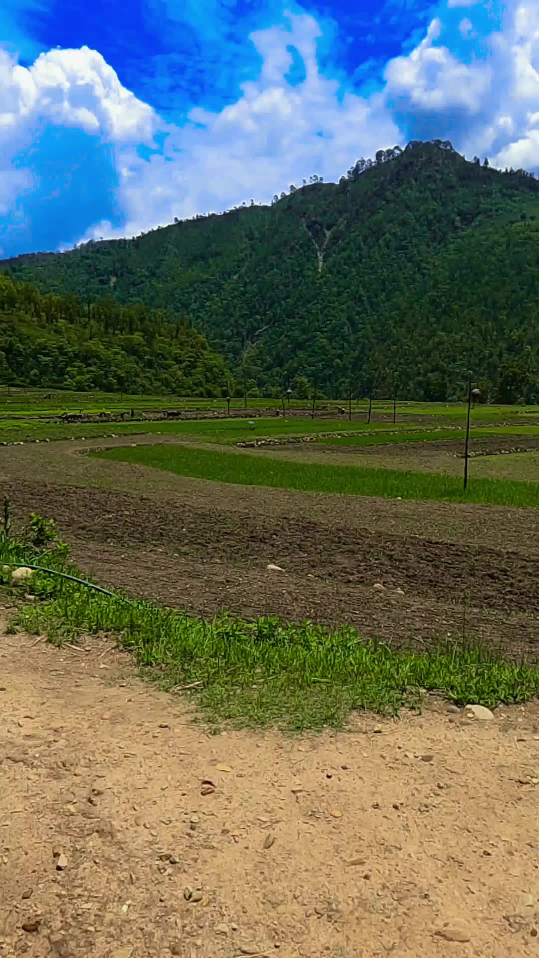 @village vlog🤗