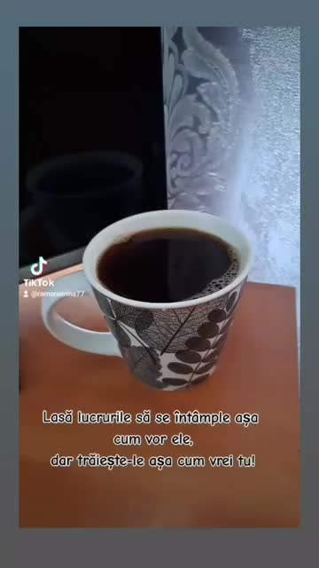 @ramonairina14