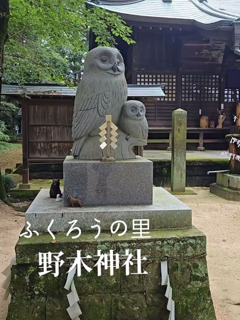 @yasu🍶🍻⛩️