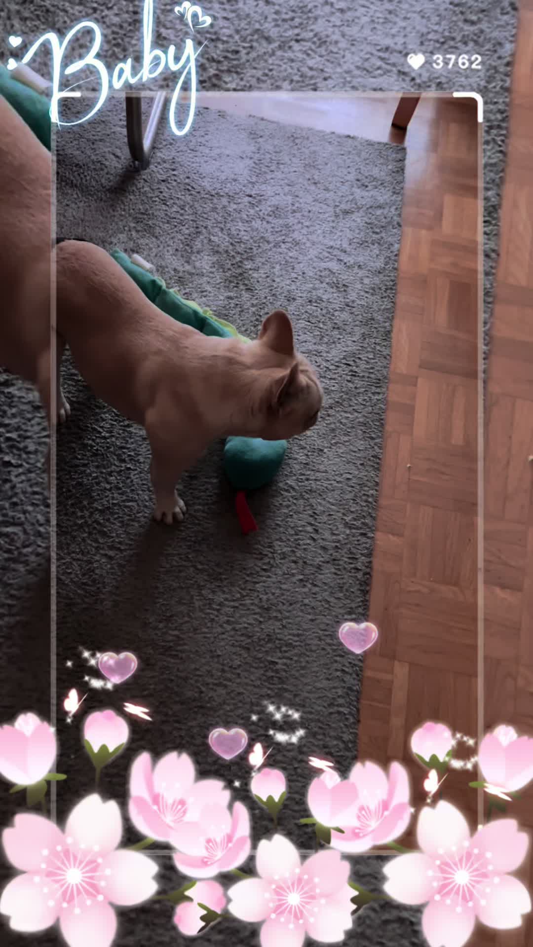 @Bina_ghe