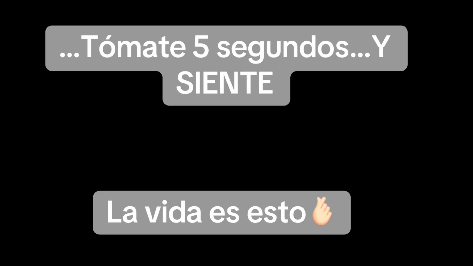 @Dori_virosta