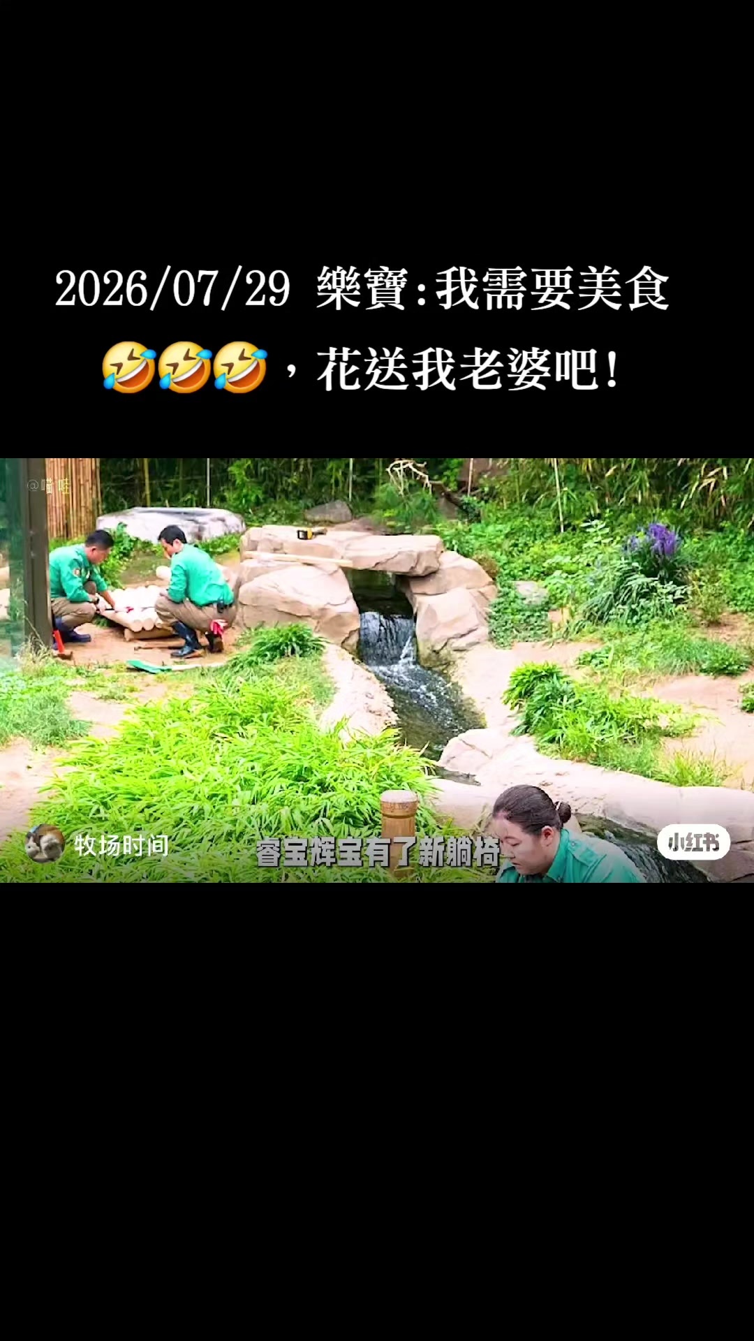 @福寶需要愛的抱抱