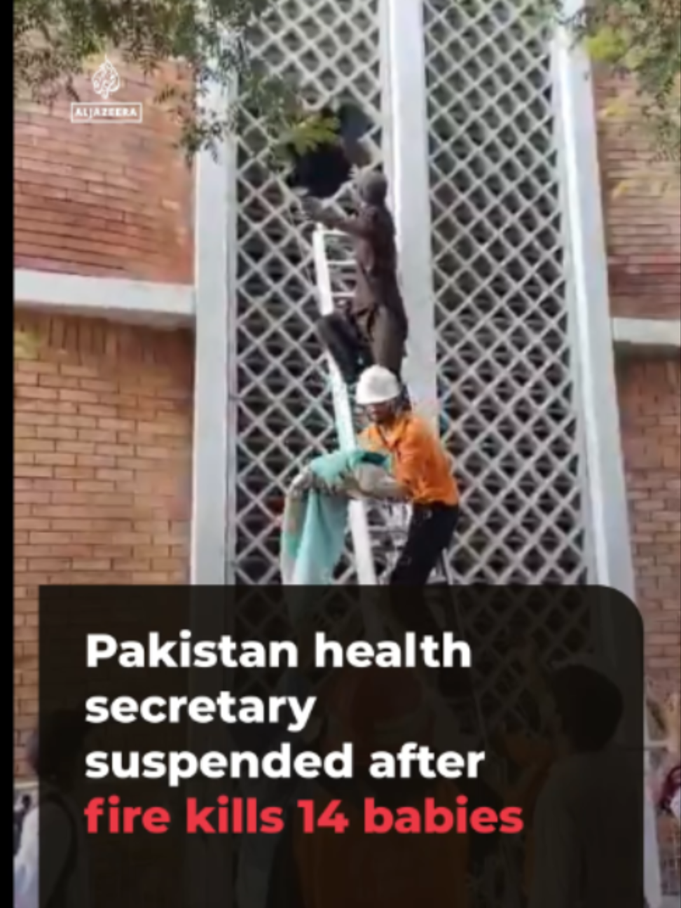 @Al Jazeera English