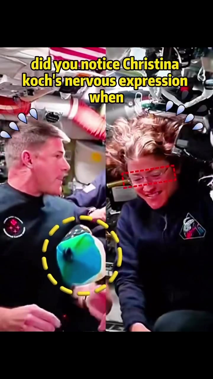 @Memeology