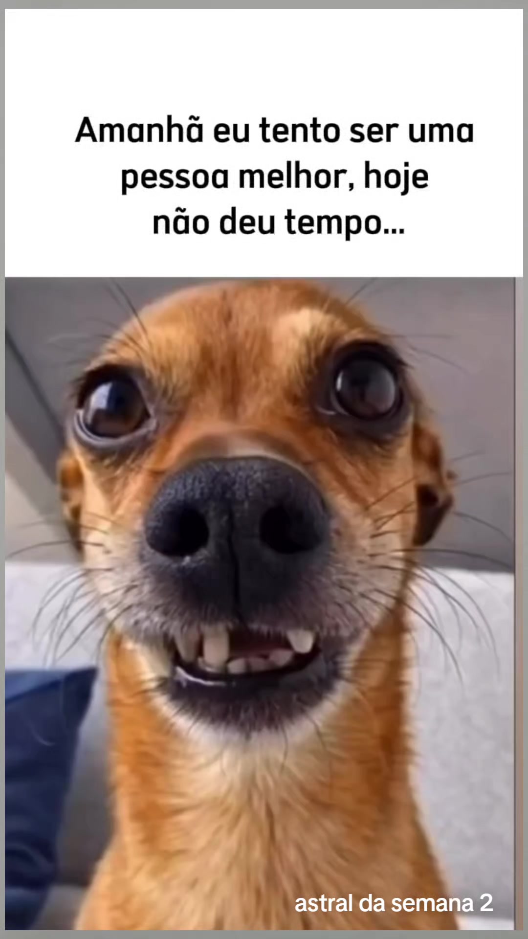 @Astral da semana 2