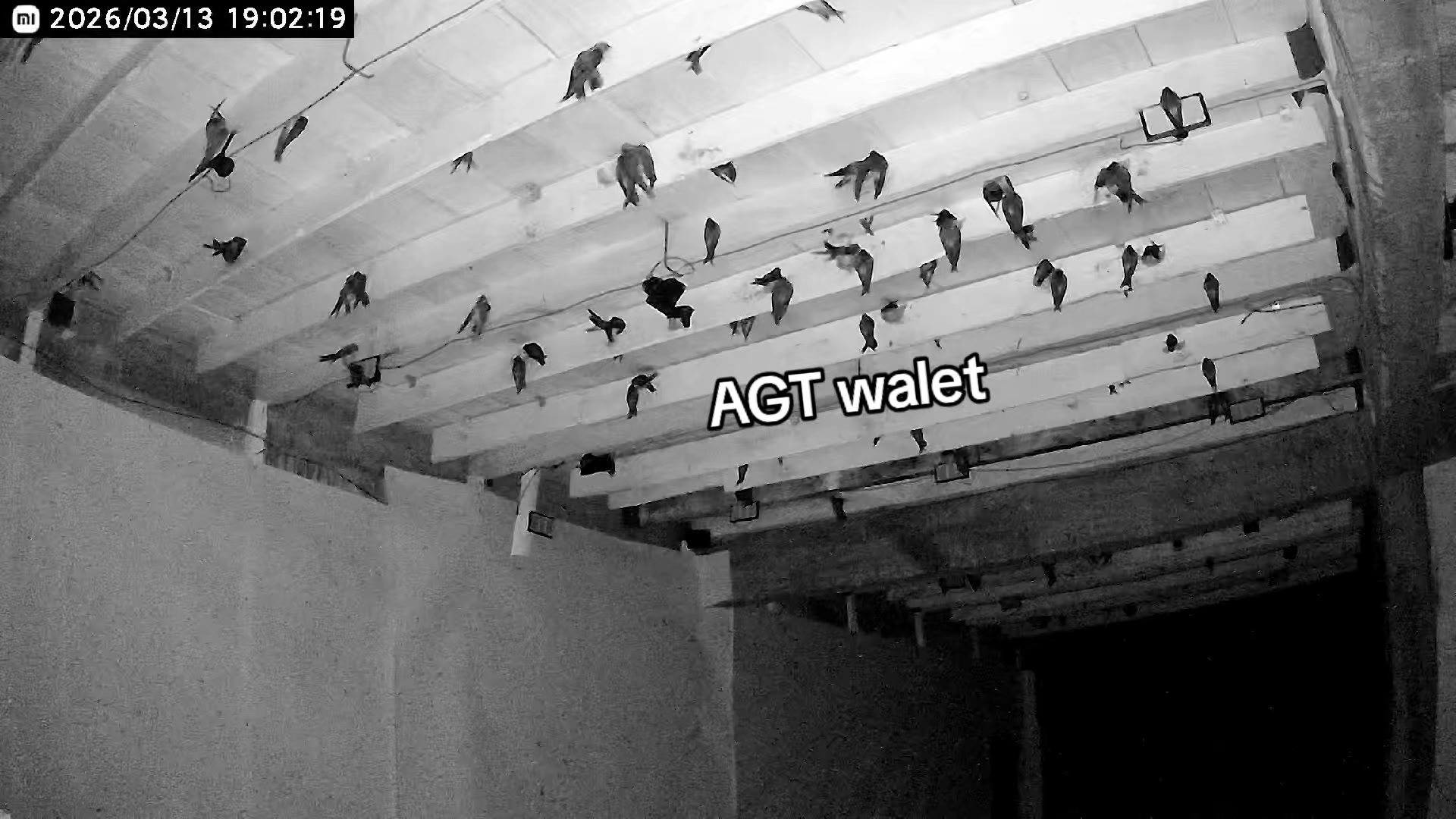 @AGT WALET PERKASA