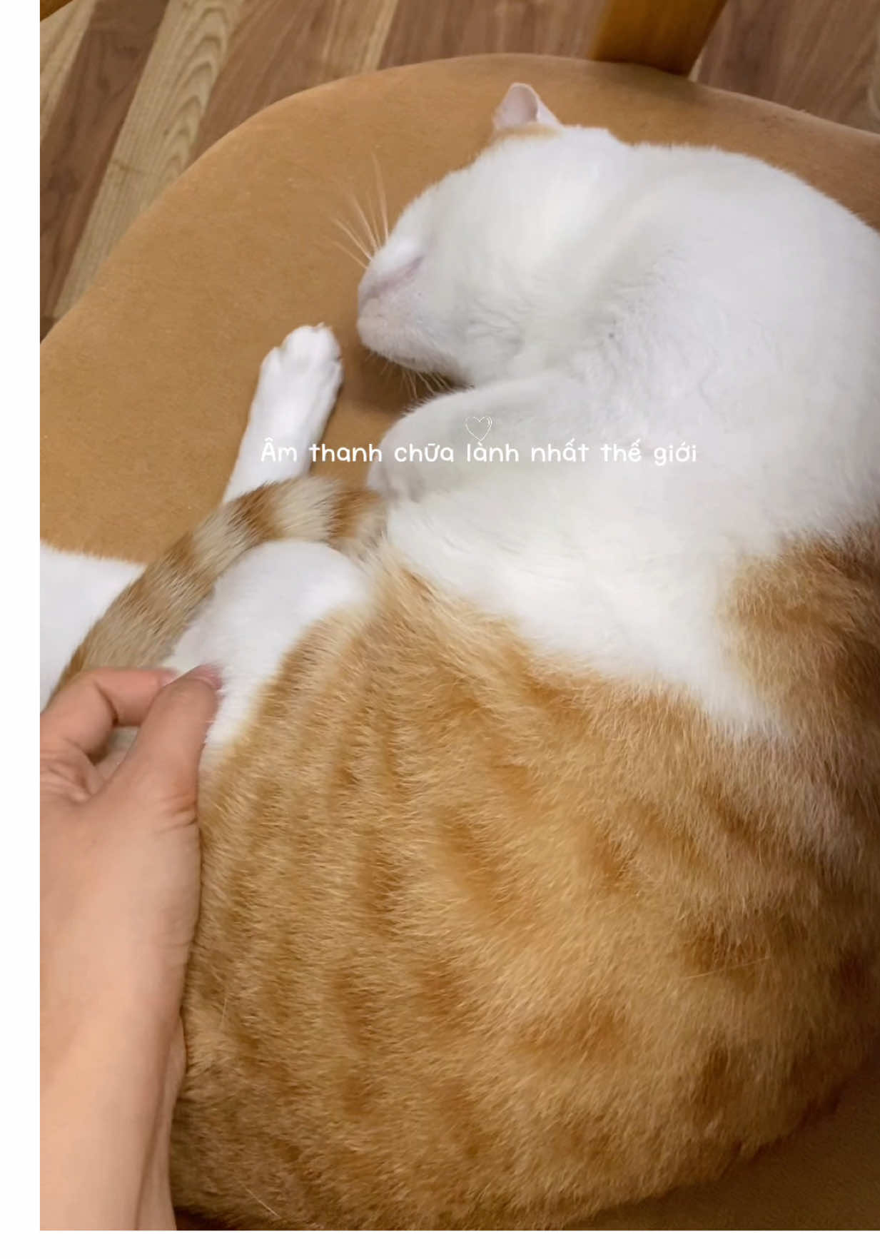 @Gia Đình Cá Cua