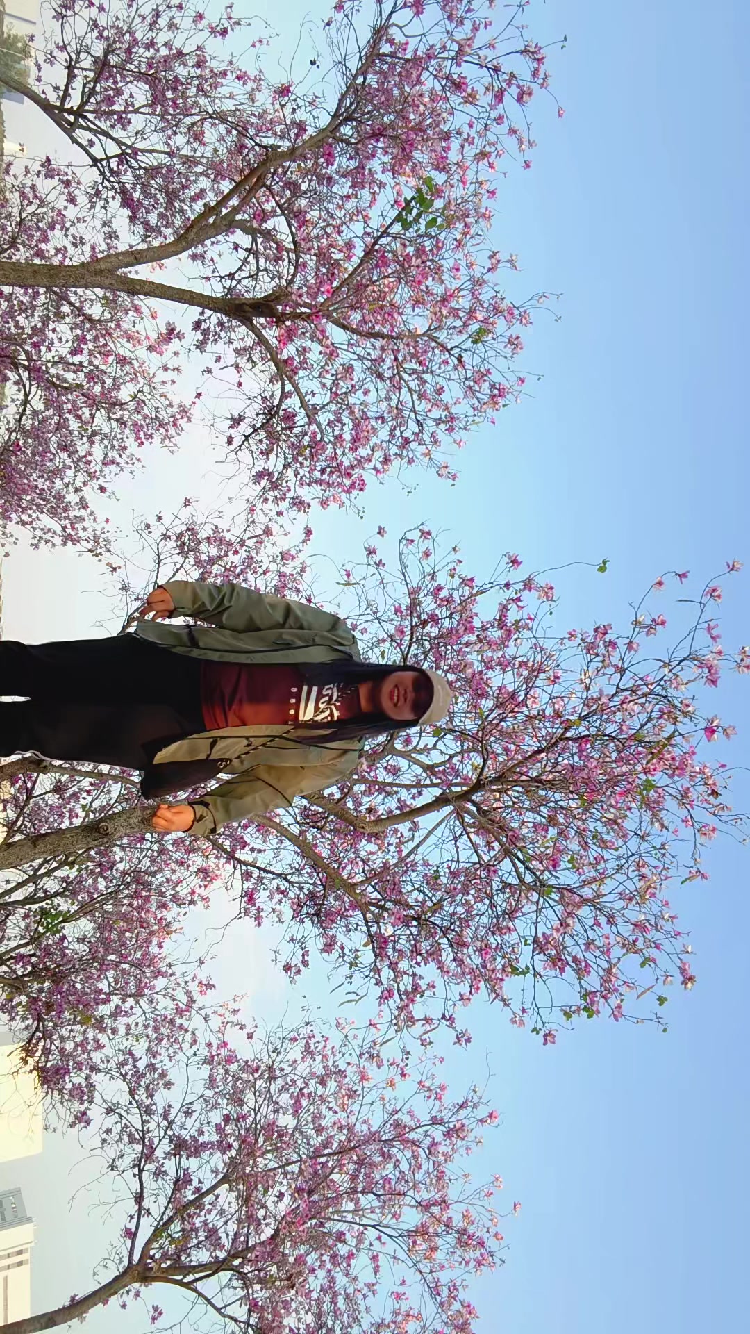 @JAM 芙朗 🇹🇼