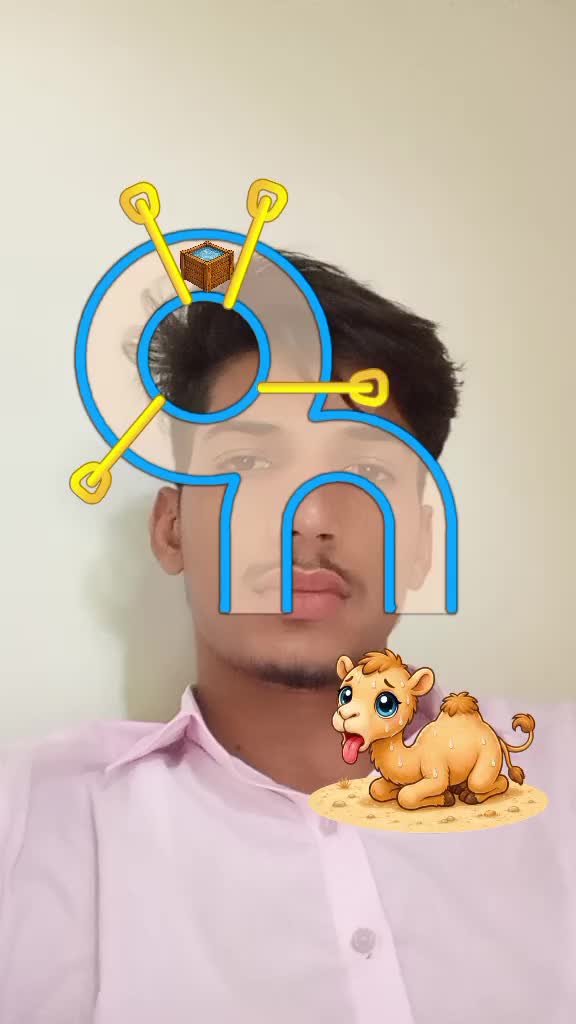 @funnygorilla