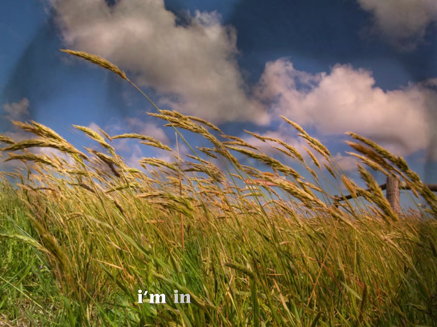 @✿ 𝓙𝓪𝓼𝓶𝓲𝓷𝓮 ✿