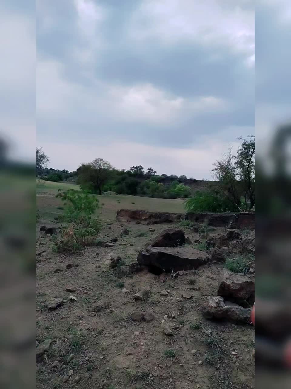 @نصرت