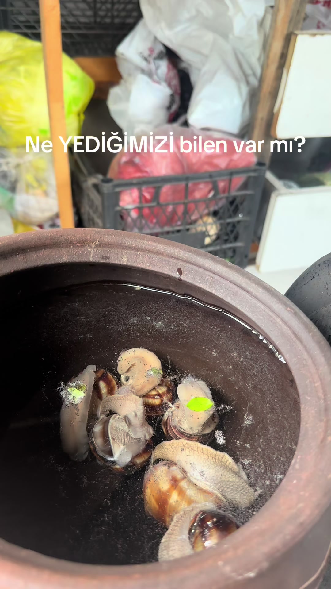 @Çetin BATUR