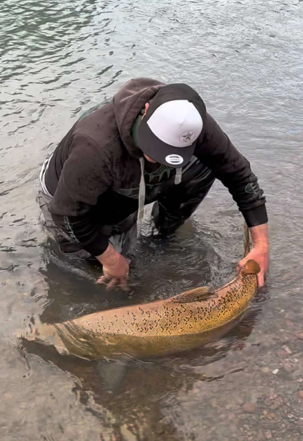 @Ticinopesca