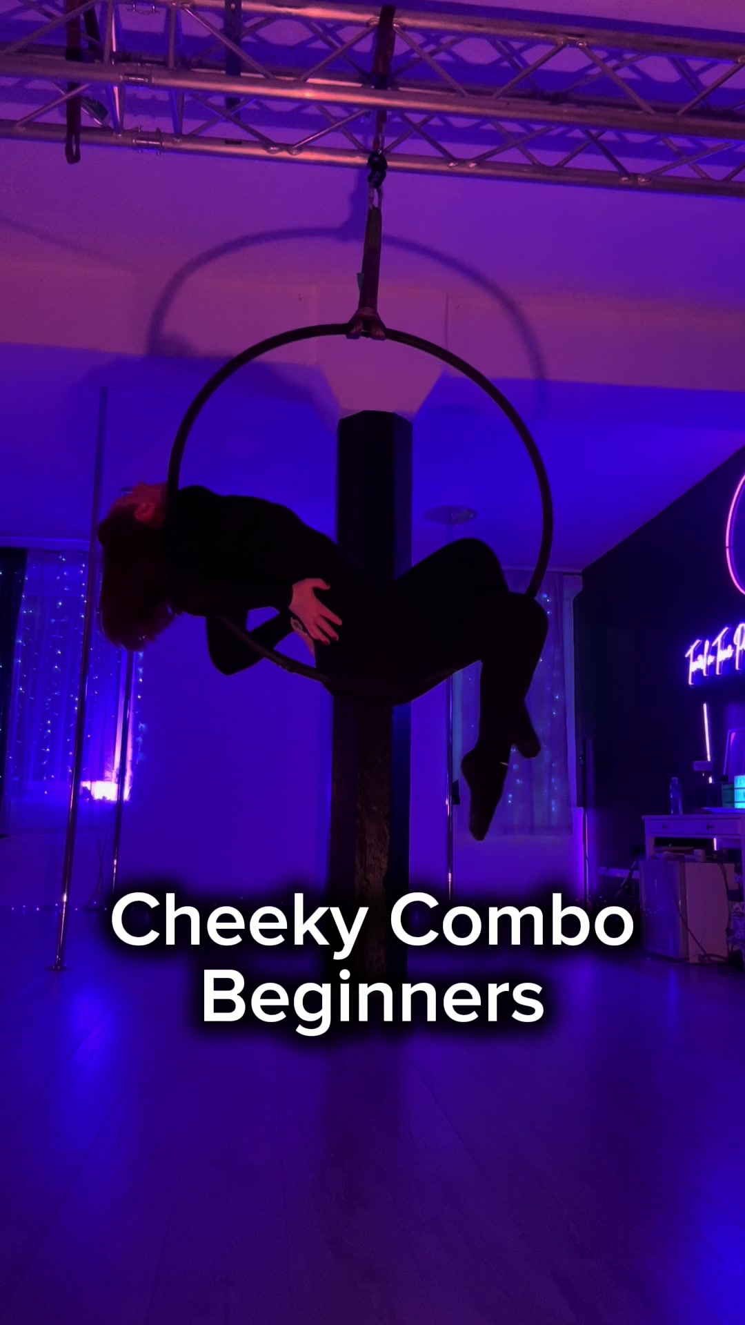 @MichelleT AerialHoop
