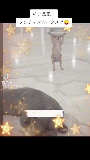 @🦄💟ガンちゃん🦄💟