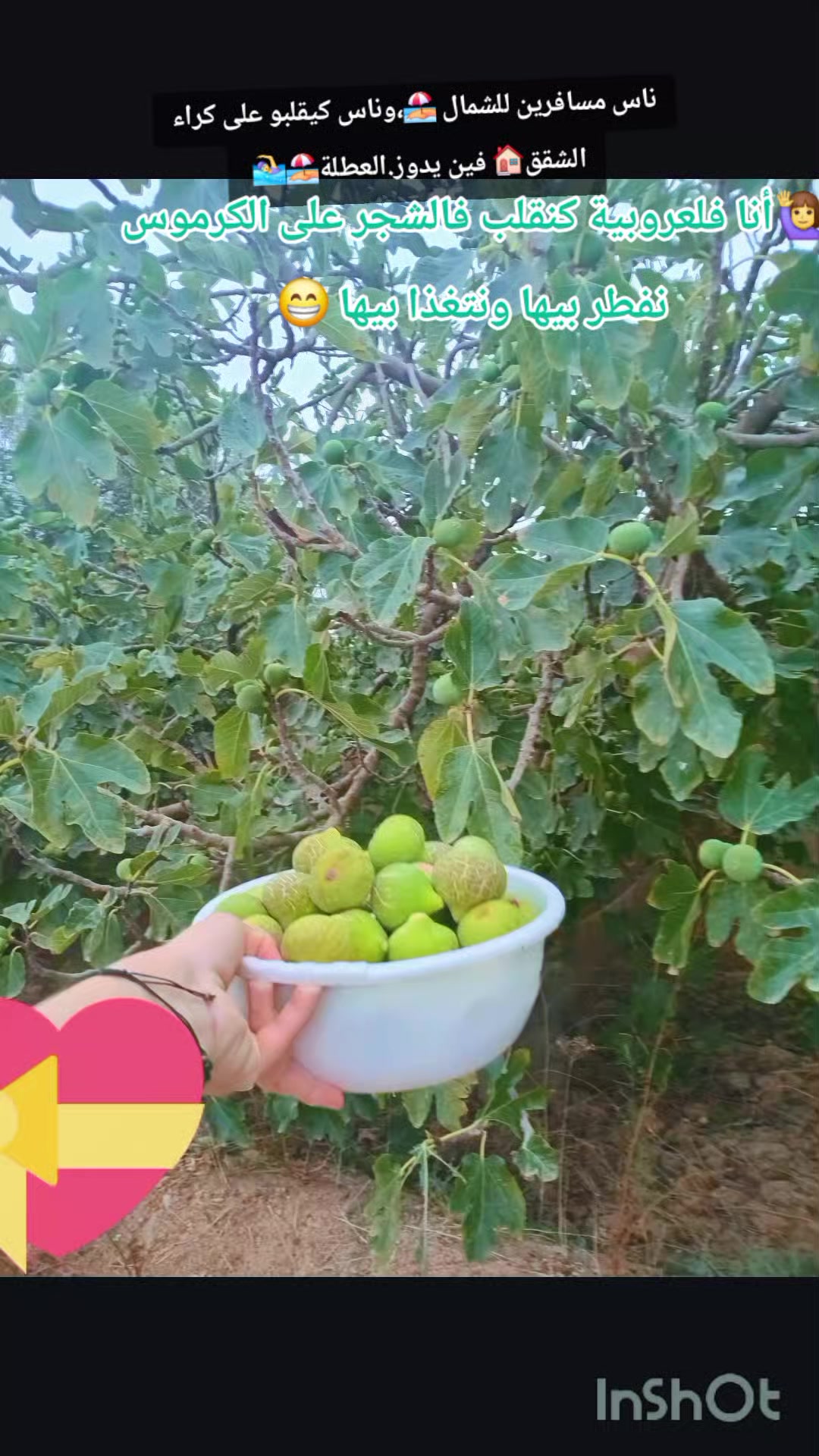 @Aziza@ام حمزة💌