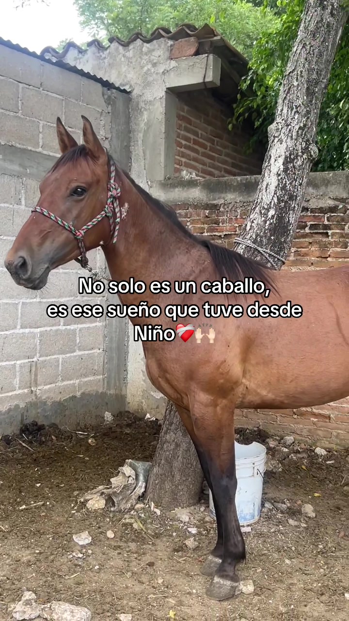 @Patito
