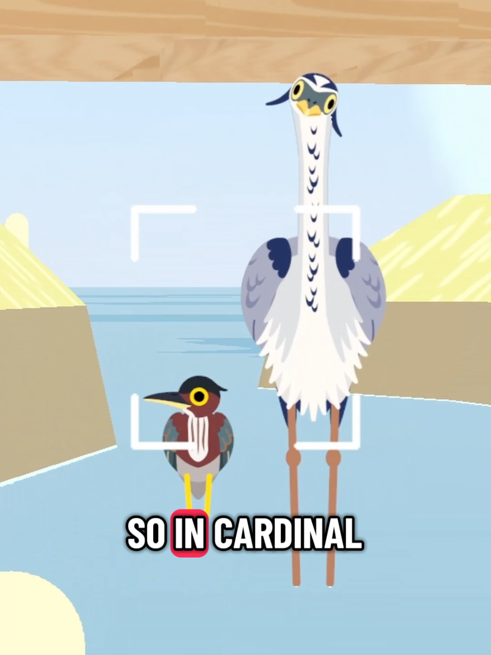 @Flock Around
