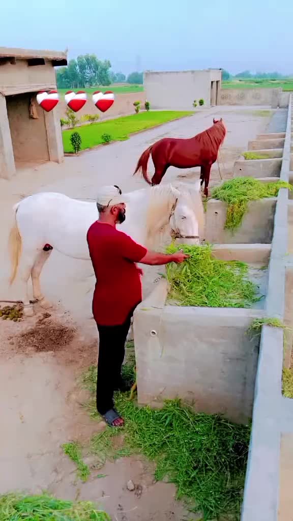 @kamran Javed💫-1