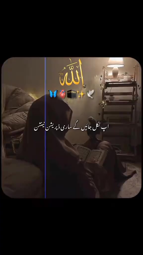 @Muhammad sayhaan 🫅👑