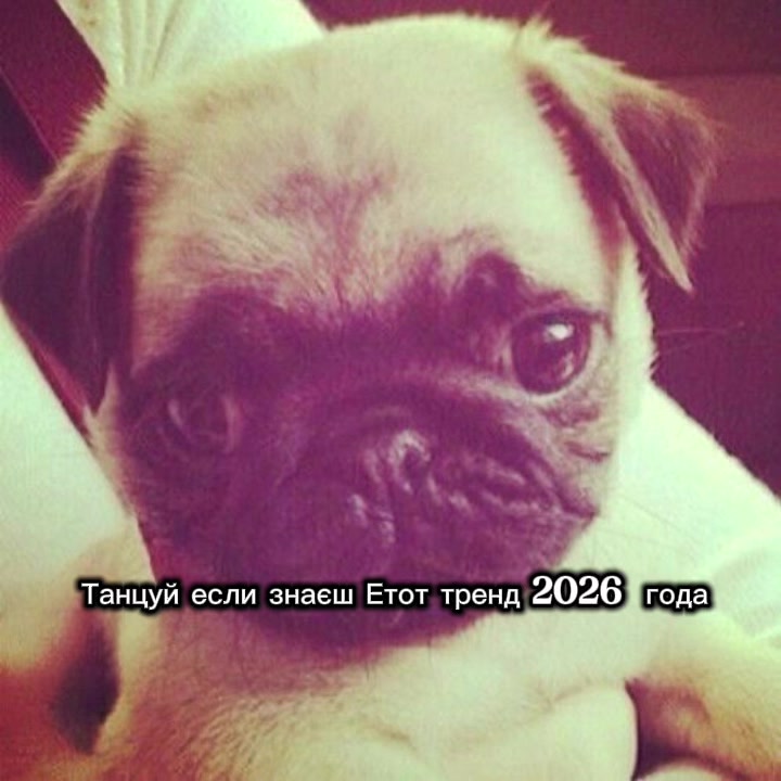 @Танцюй як що знаєш цей тренд