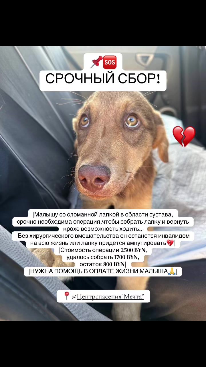 @o.alekseeva