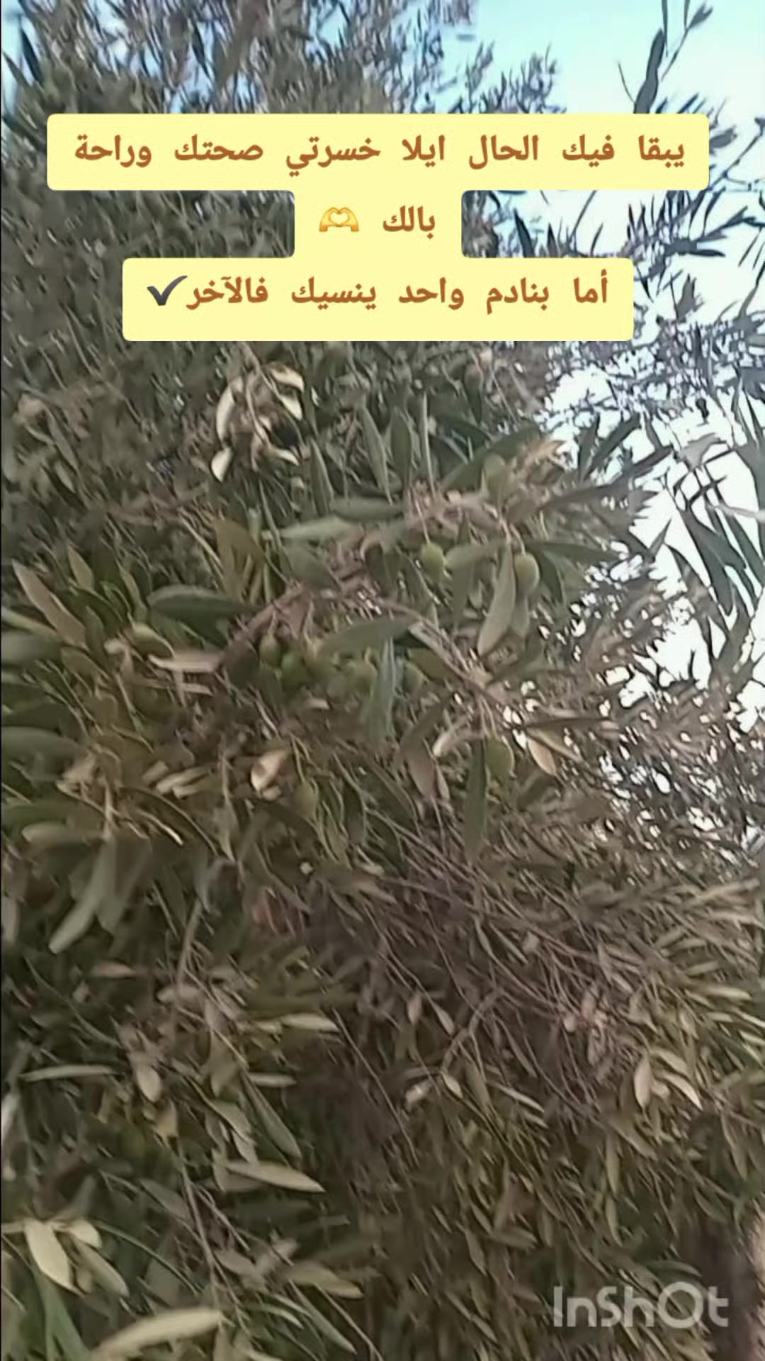 @Aziza@ام حمزة💌