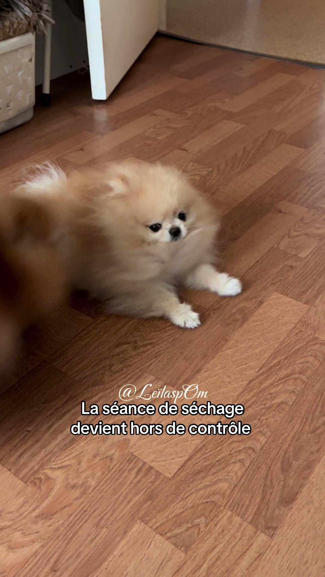 @🎀Leïla’spOm🎀