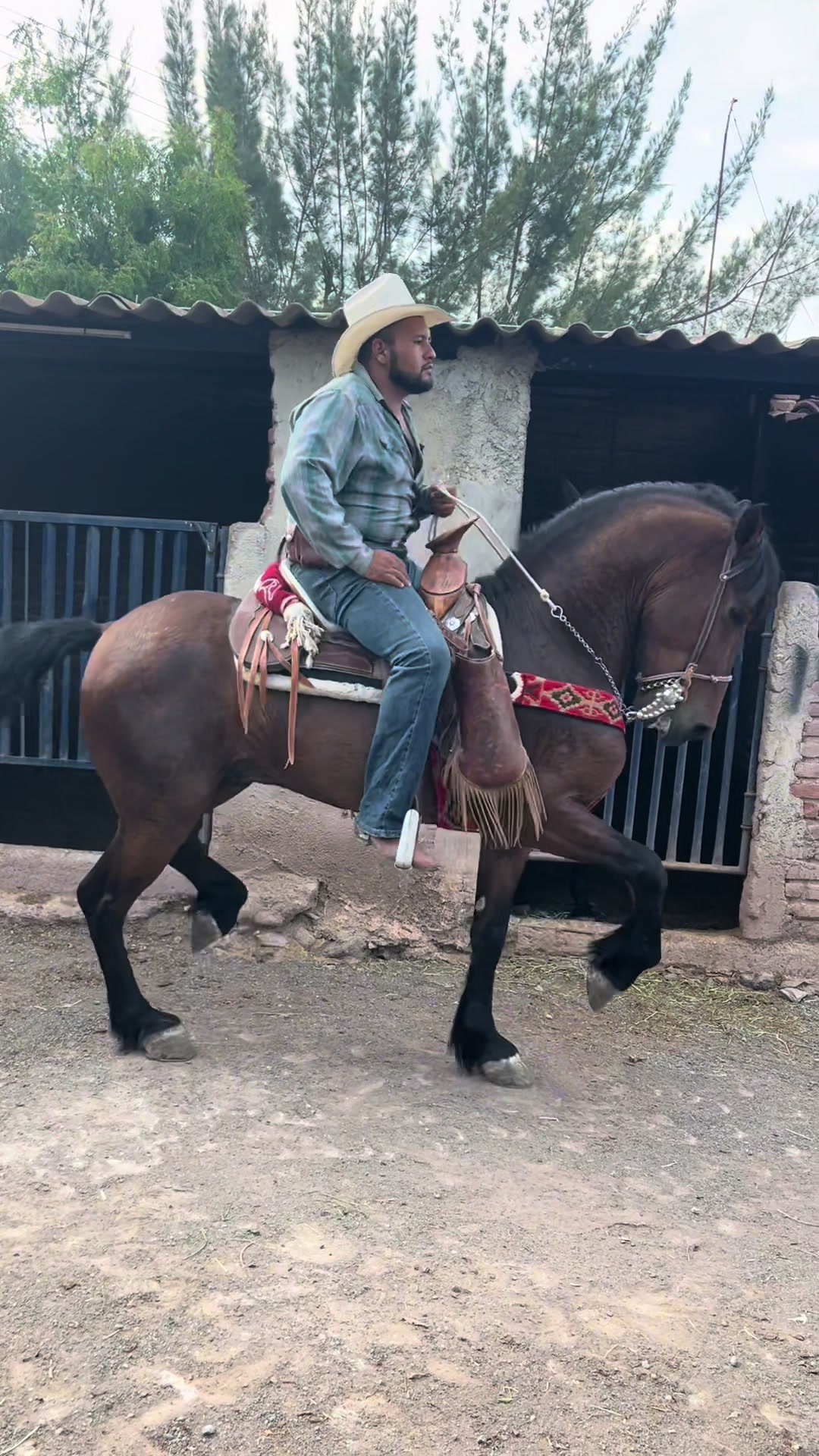@Rober Villase&ntilde;or