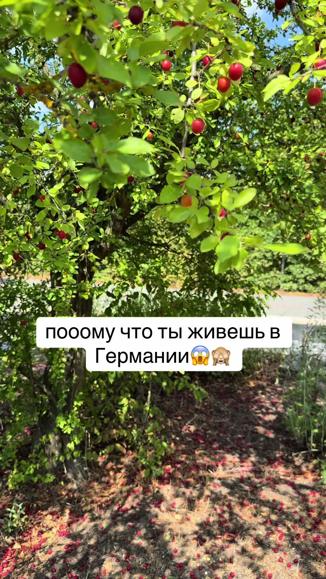 @Mari Корыстная Особа😜