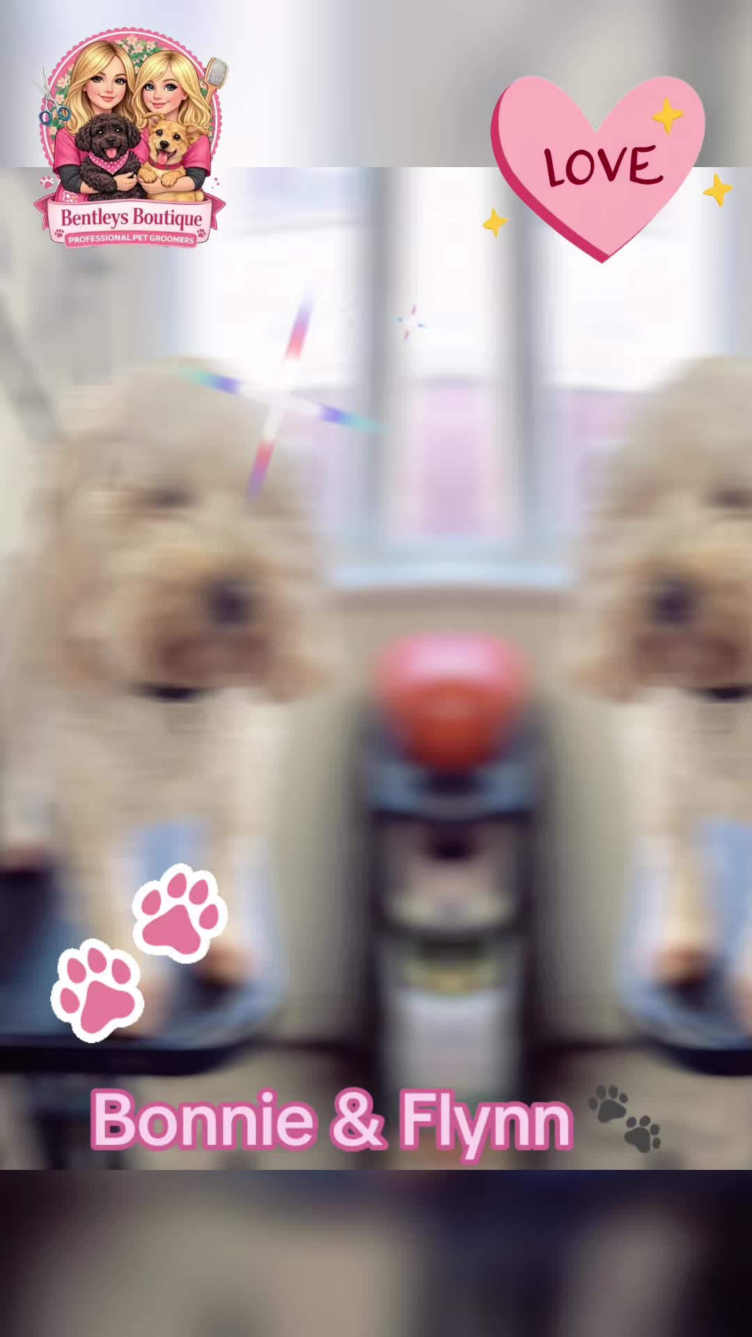 @Bentleys Boutique Pet Groomers