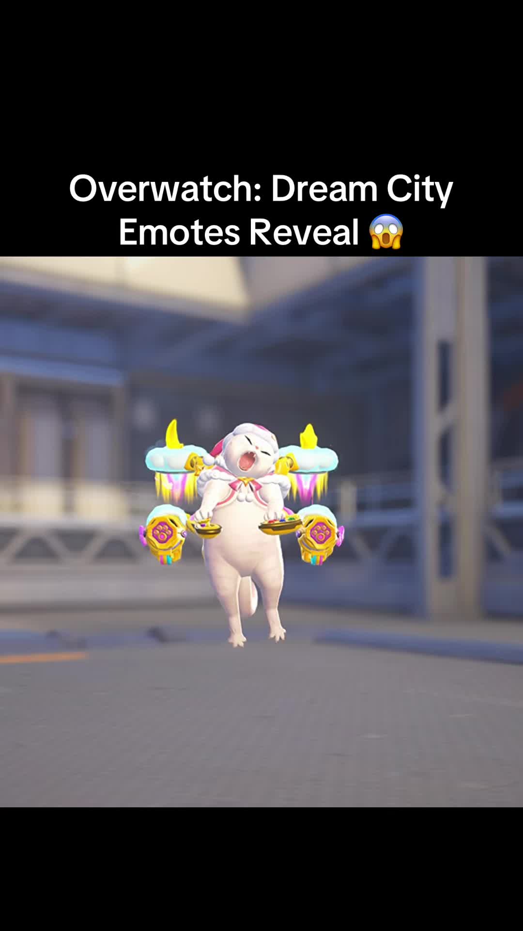 @Tokki 🐰