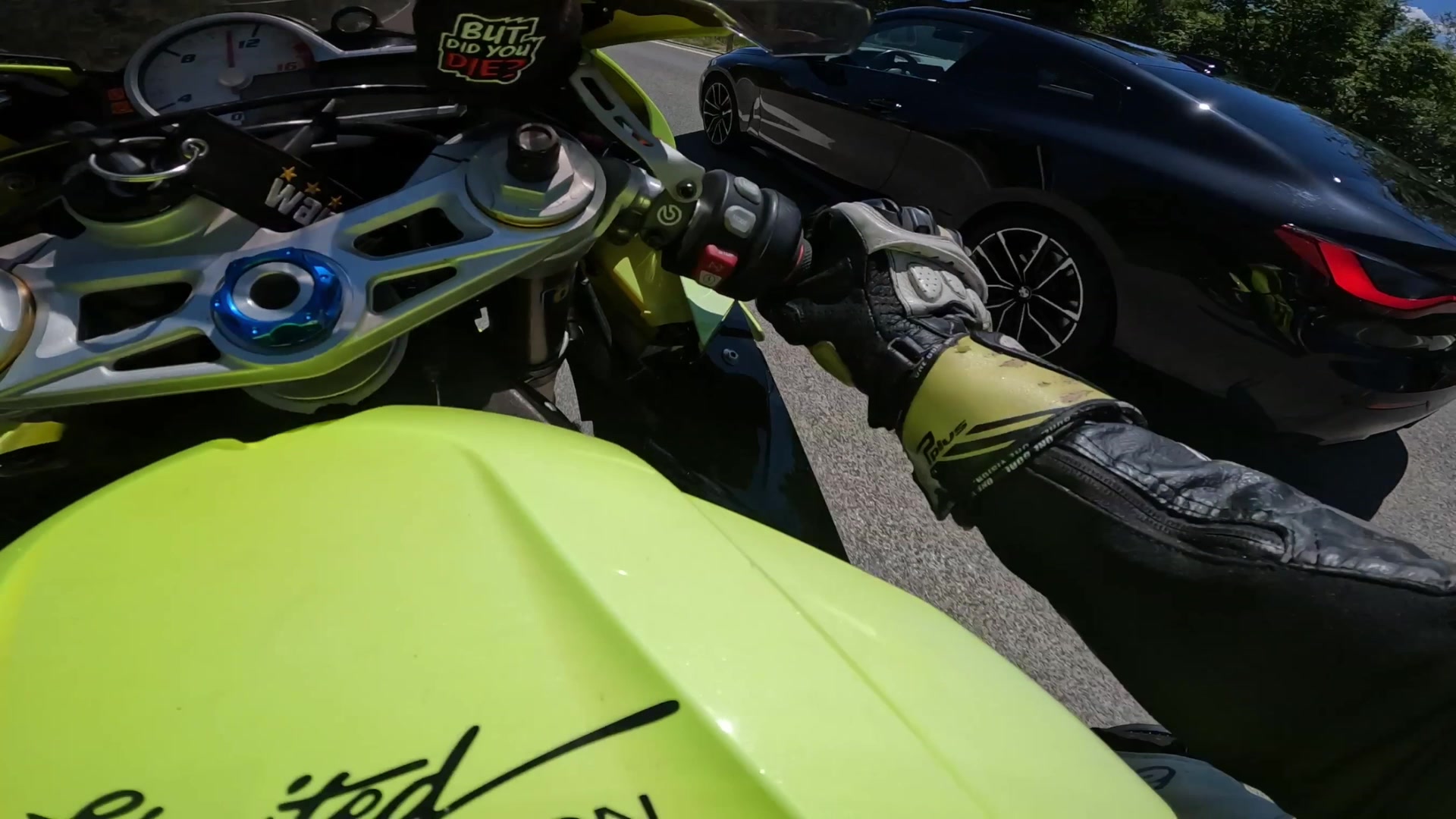 @Young Rider
