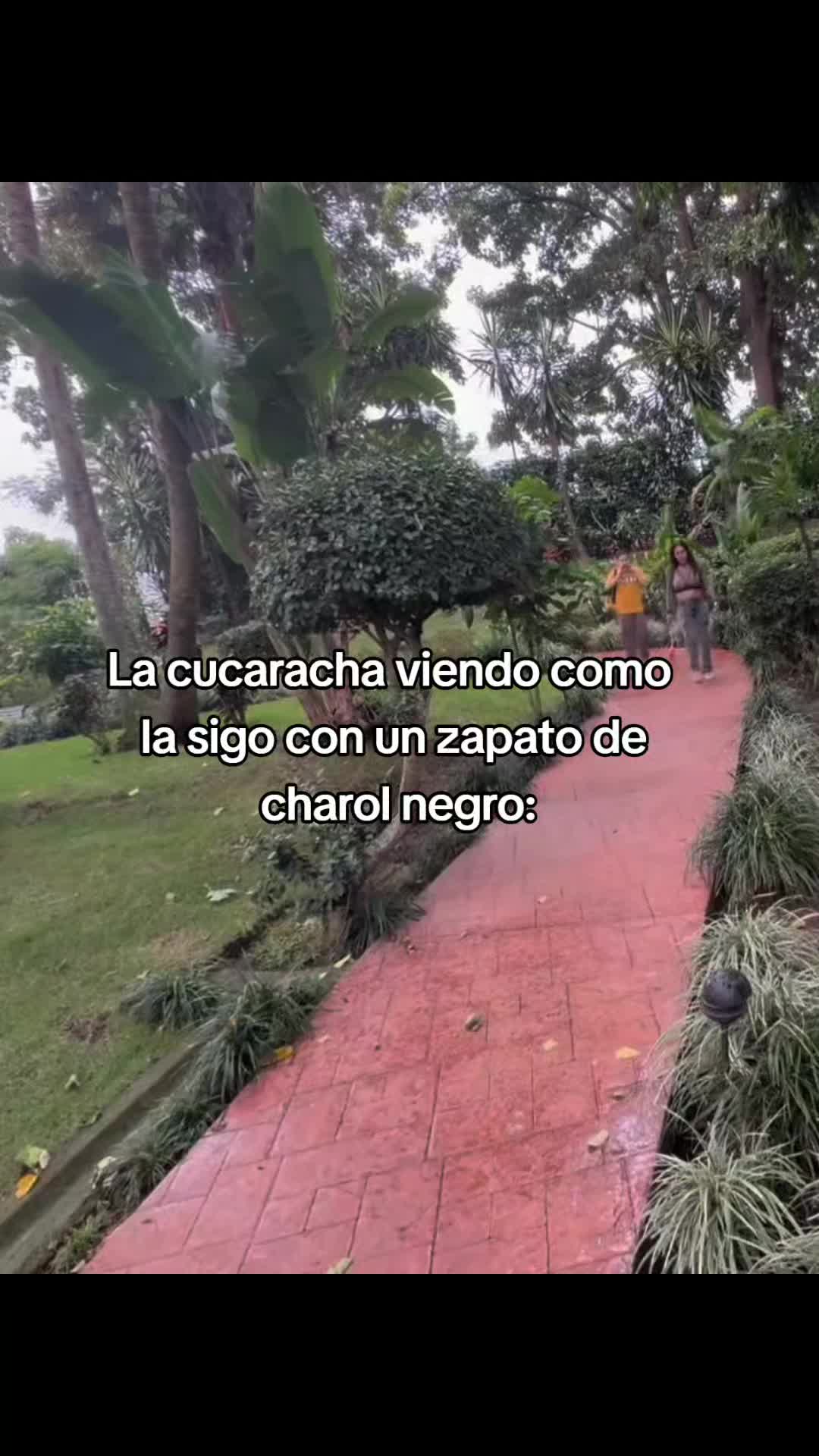 @Taco 👍🏻