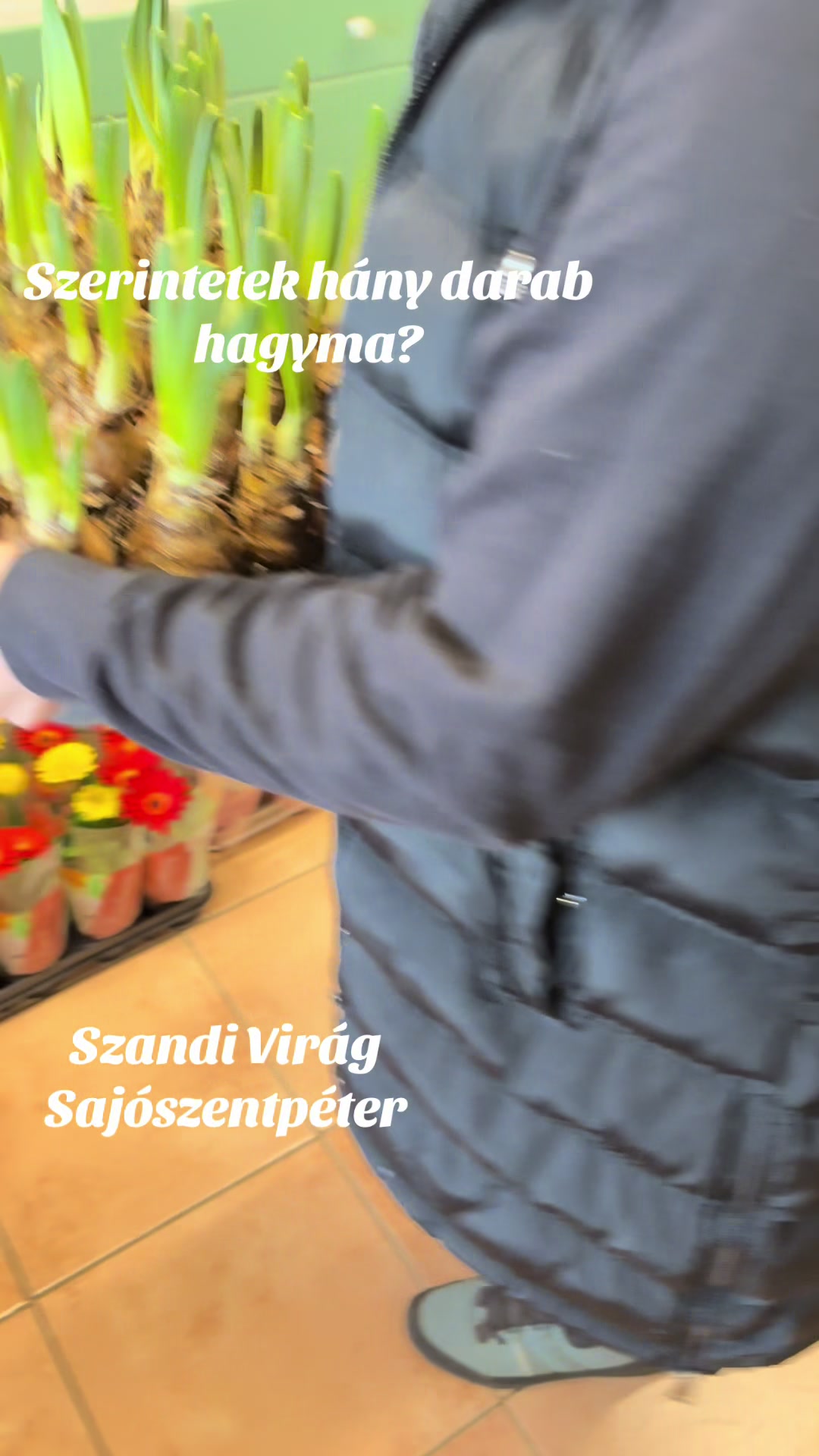 @SzandiVir&aacute;g