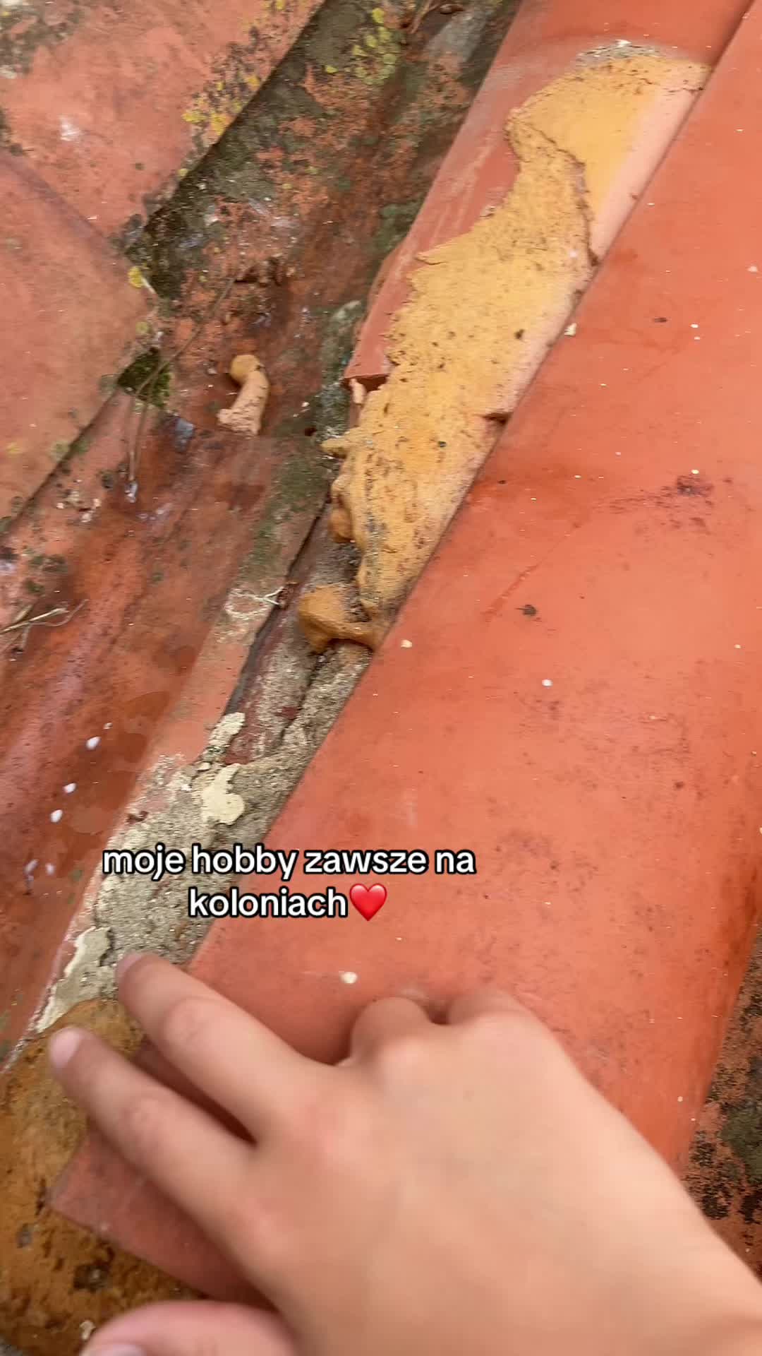 @💛