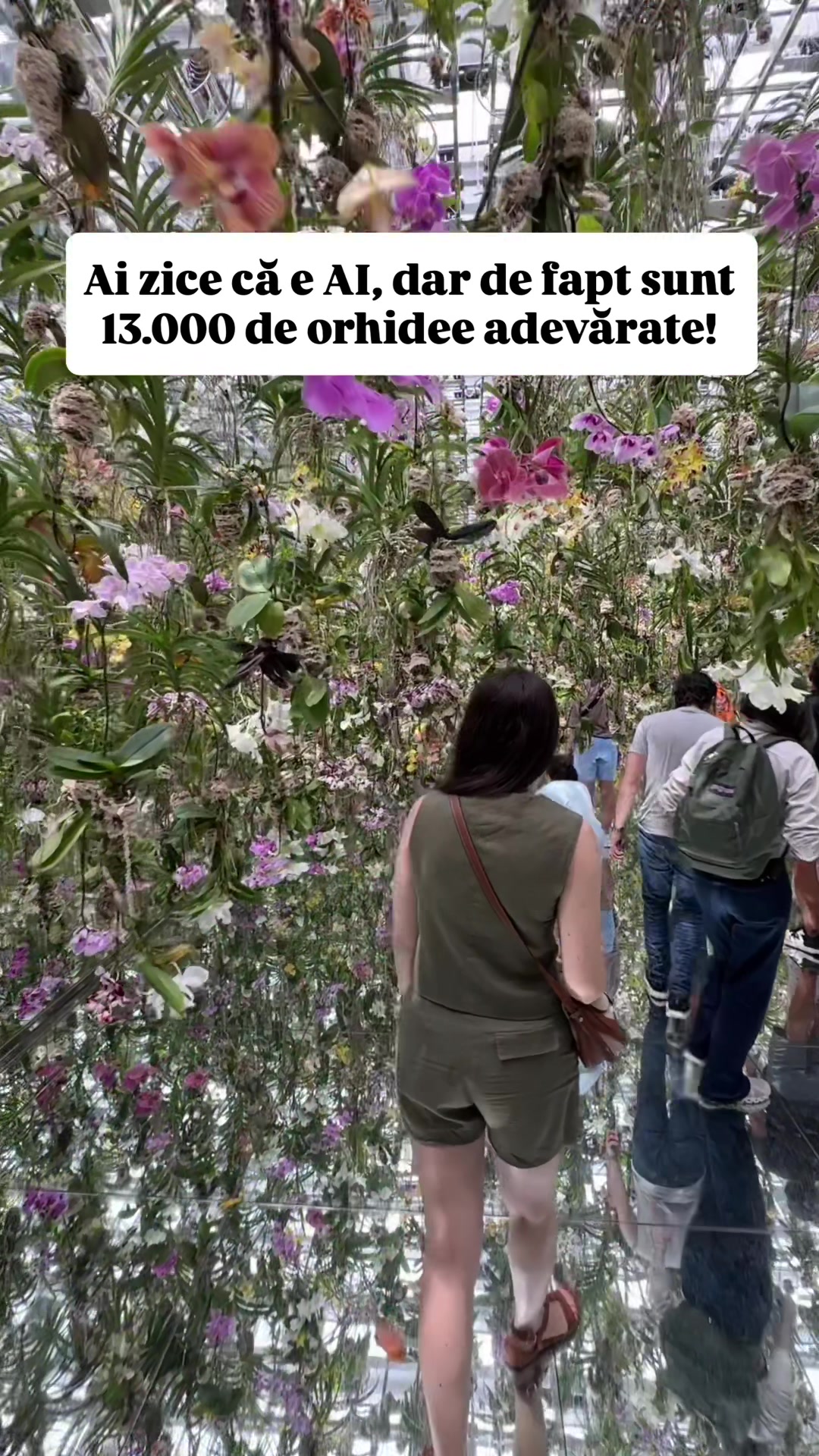 @@PierdutiInVacanta