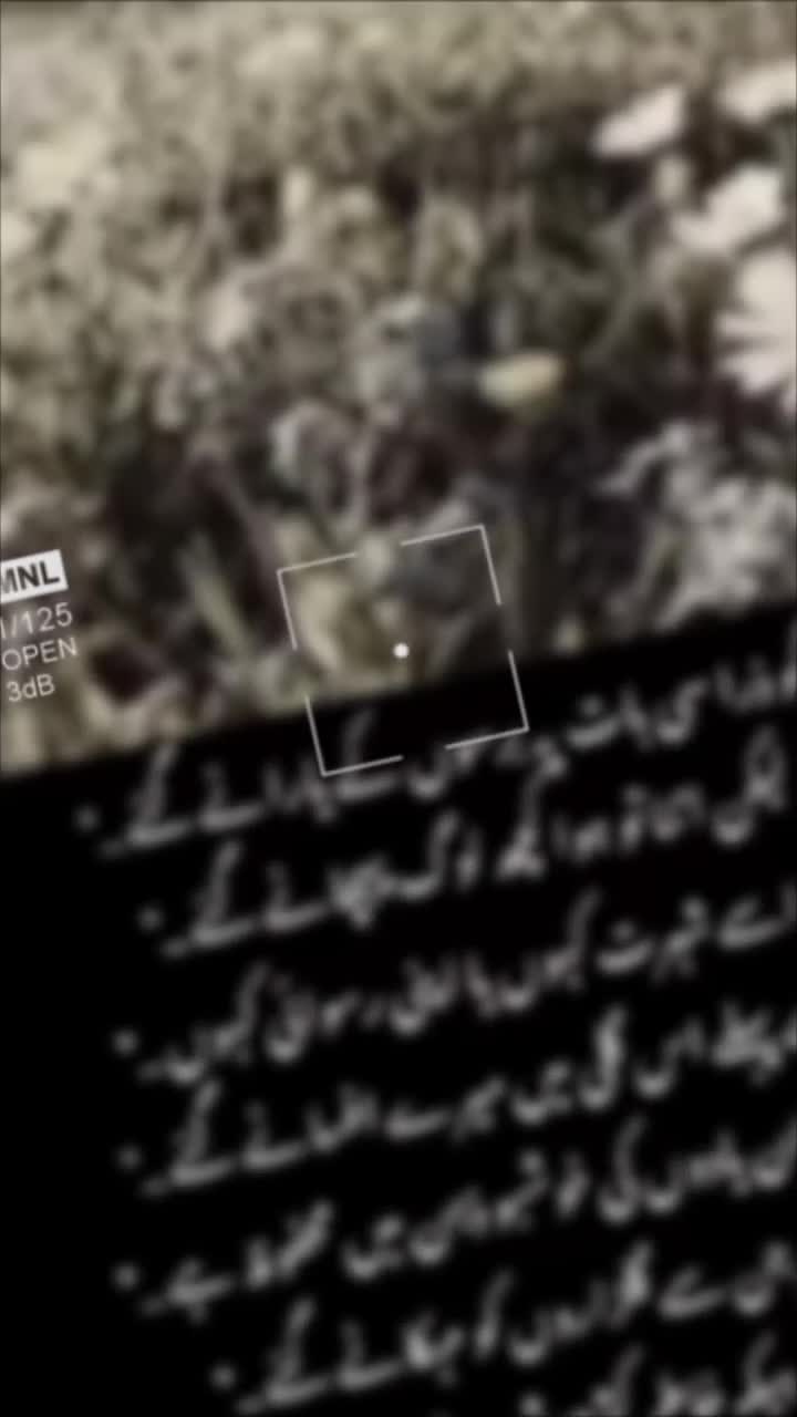 @Malik Adnan